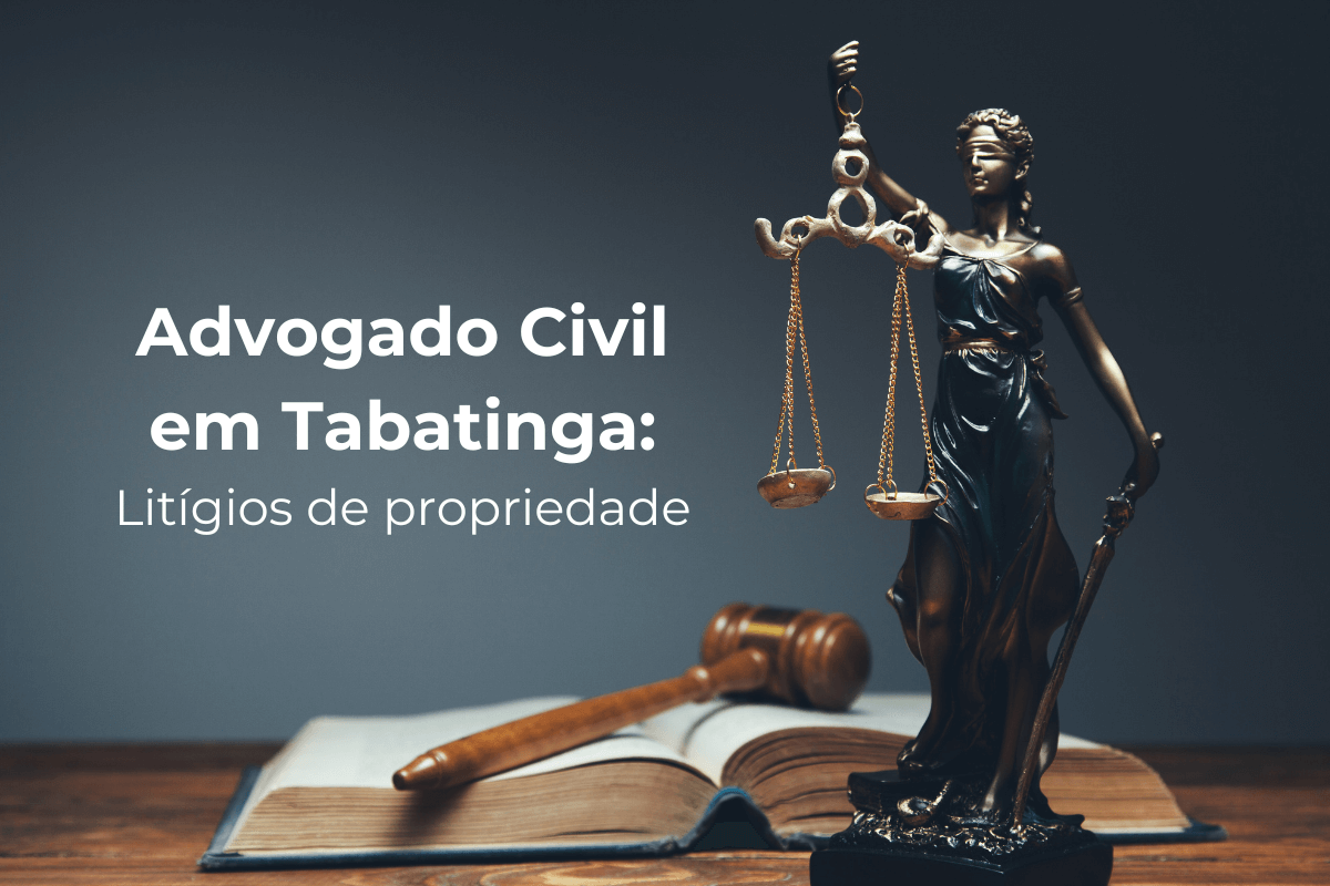 Advogado Civil em Tabatinga: Litígios de Propriedade