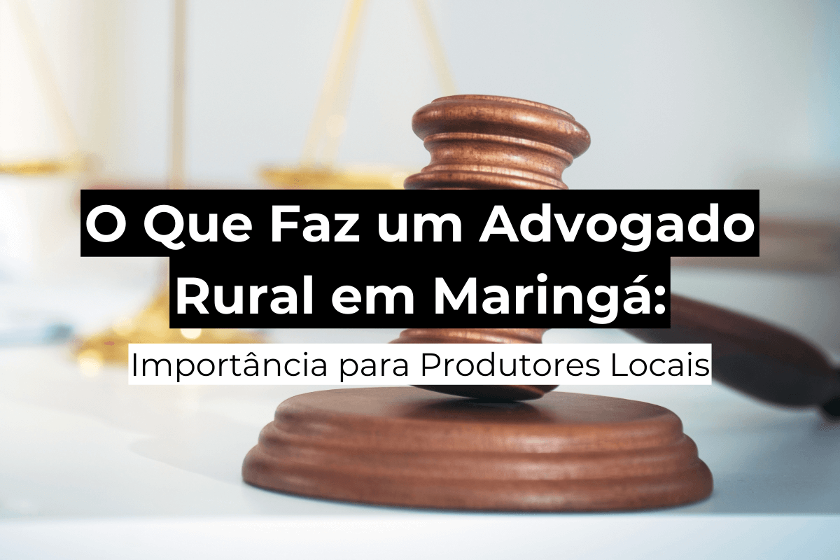 O Que Faz um Advogado Rural em Maringá: Importância para Produtores Locais