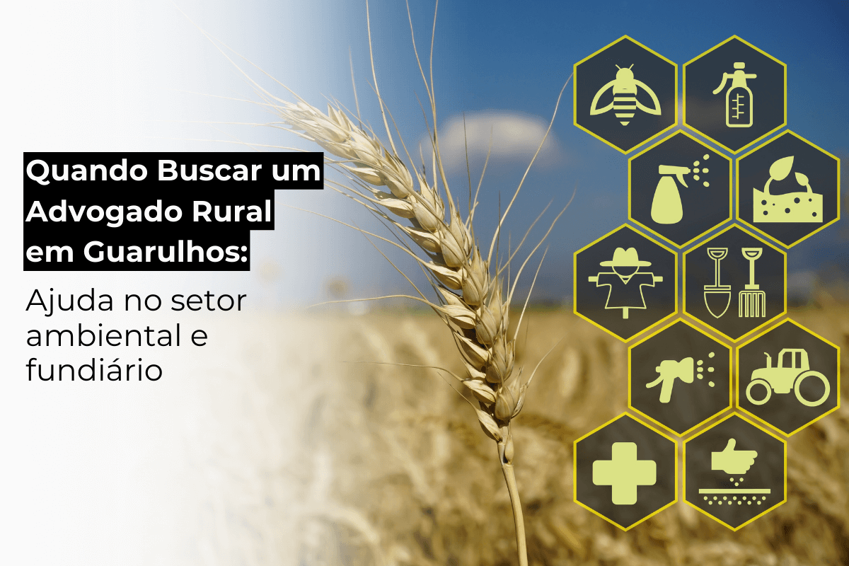 Quando Buscar um Advogado Rural em Guarulhos: Ajuda no Setor Ambiental e Fundiário